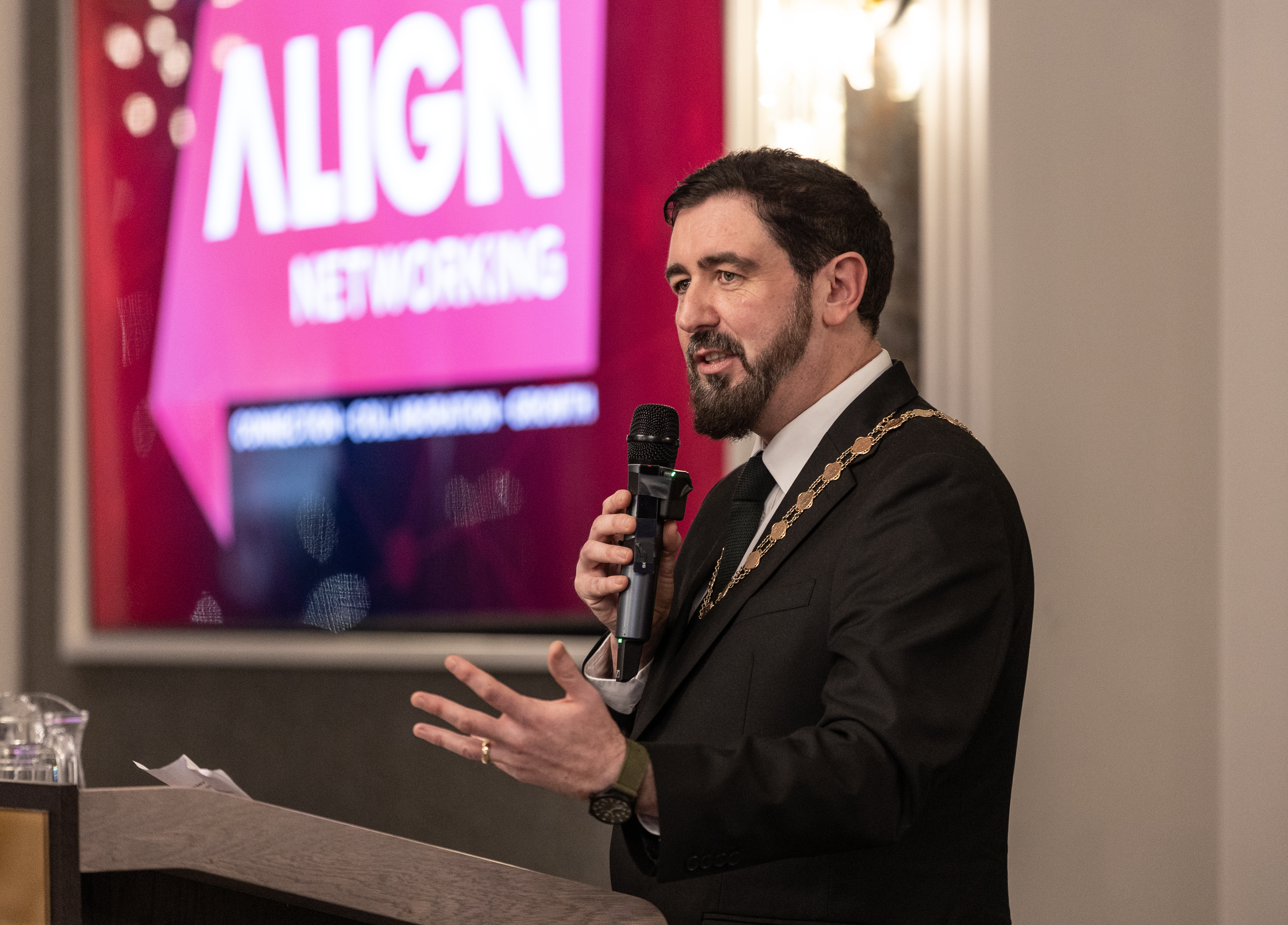 Business professionals networking